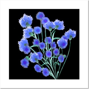 Blue Cornflower Posters and Art